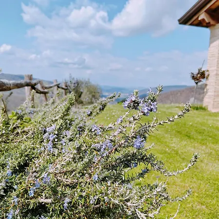 Alba dei Due Soli B&B-3